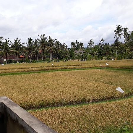 Umah Dangin Guest House أوبود المظهر الخارجي الصورة