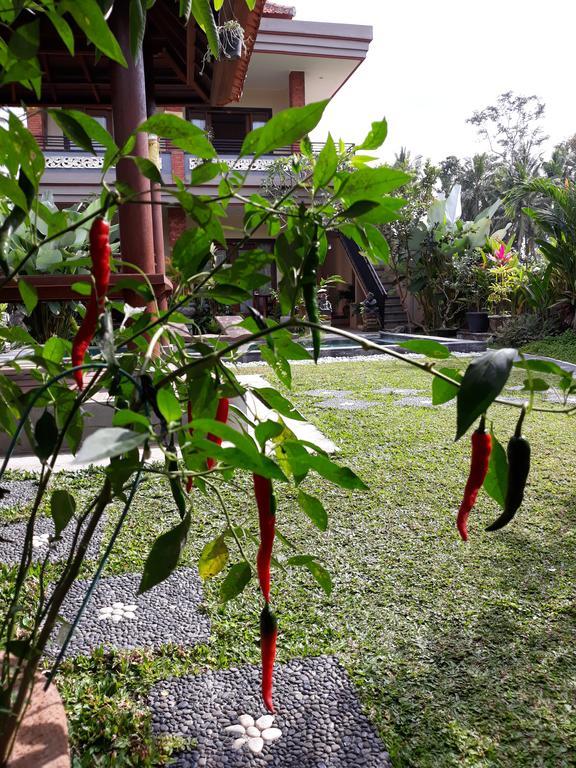 Umah Dangin Guest House أوبود المظهر الخارجي الصورة