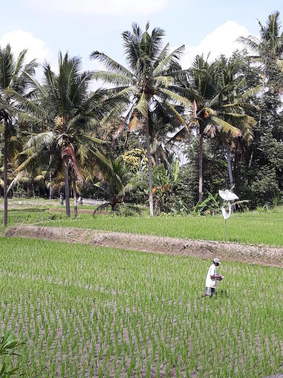 Umah Dangin Guest House أوبود المظهر الخارجي الصورة